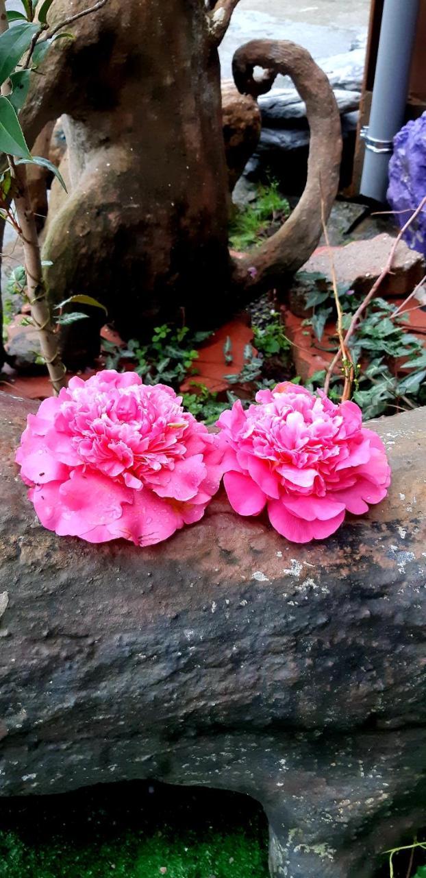 Lushan Xiangting Tea Homestay Ренай Экстерьер фото